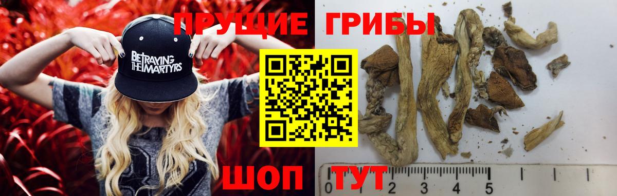 Галлюциногенные грибы мицелий Аргун