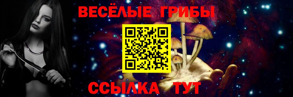 Аргун  Галлюциногенные грибы мицелий  Вход с VPN  Псилоцибиновые грибы GOLDEN TEACHER 